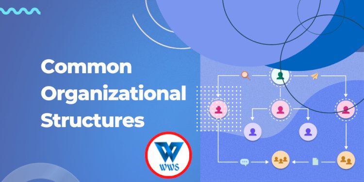 Common Organizational Structures - How to Execute Strategy through Organizational Design?